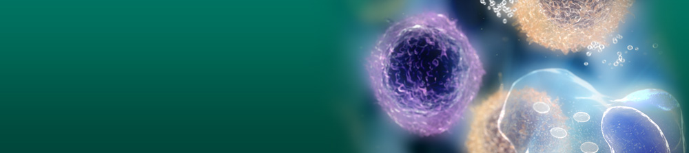 Potenciais efeitos imunomoduladores da vitamina D na prevenção da doença coronavírus grave 2019: um aliado para a América&nbsp;Latina