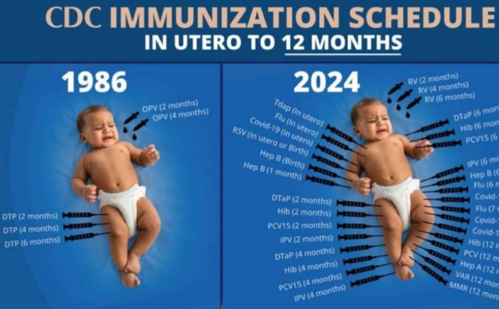 Agenda do excesso de  vacinações infantis iniciais, do útero aos 12&nbsp;meses